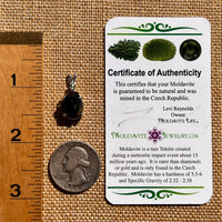 Black Garnet & Moldavite Pendant Sterling #8239-Moldavite Life