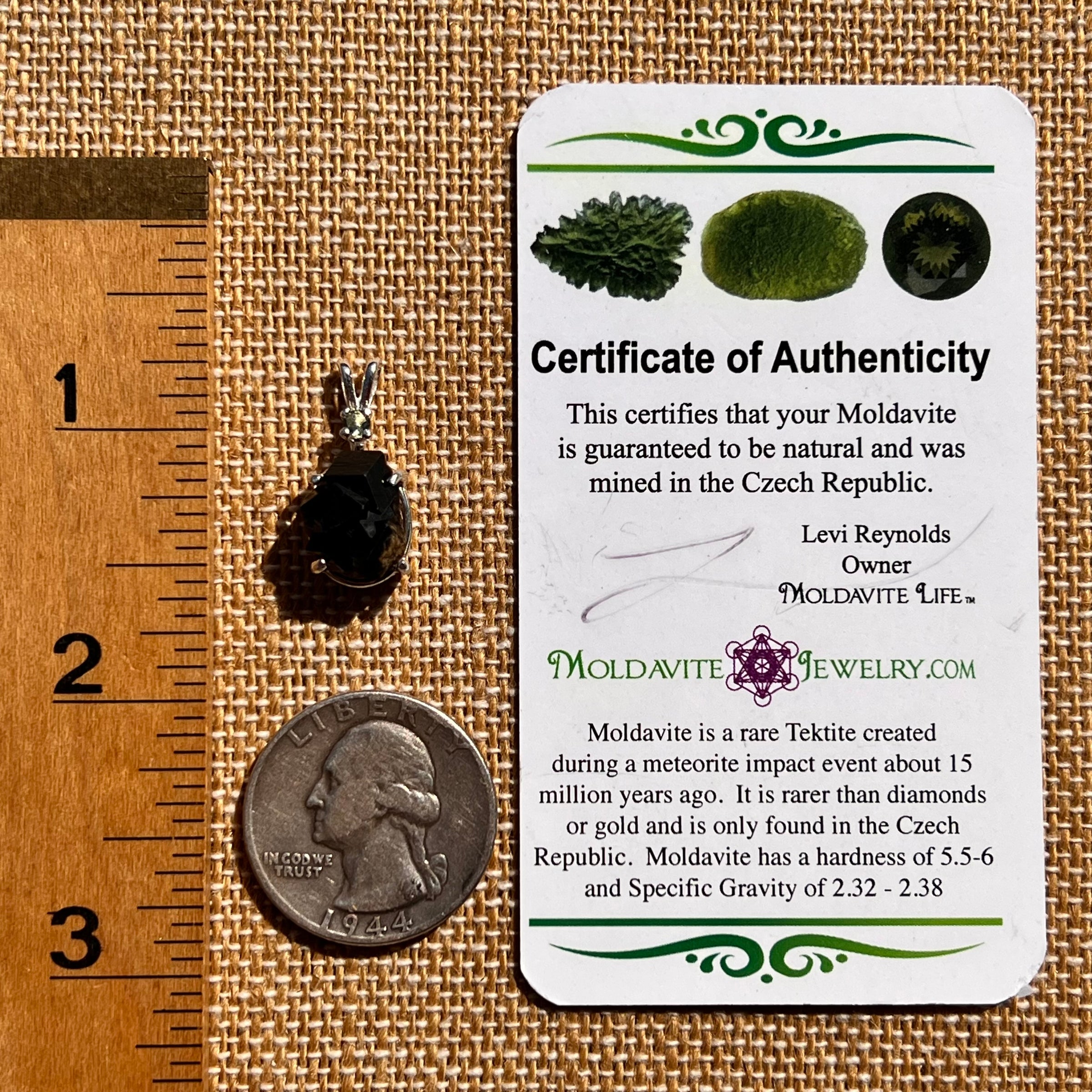Black Garnet & Moldavite Pendant Sterling #8239-Moldavite Life
