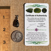 Black Seraphinite & Moldavite Pendant Sterling #6576-Moldavite Life