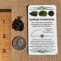 Black Seraphinite & Moldavite Pendant Sterling #6578-Moldavite Life