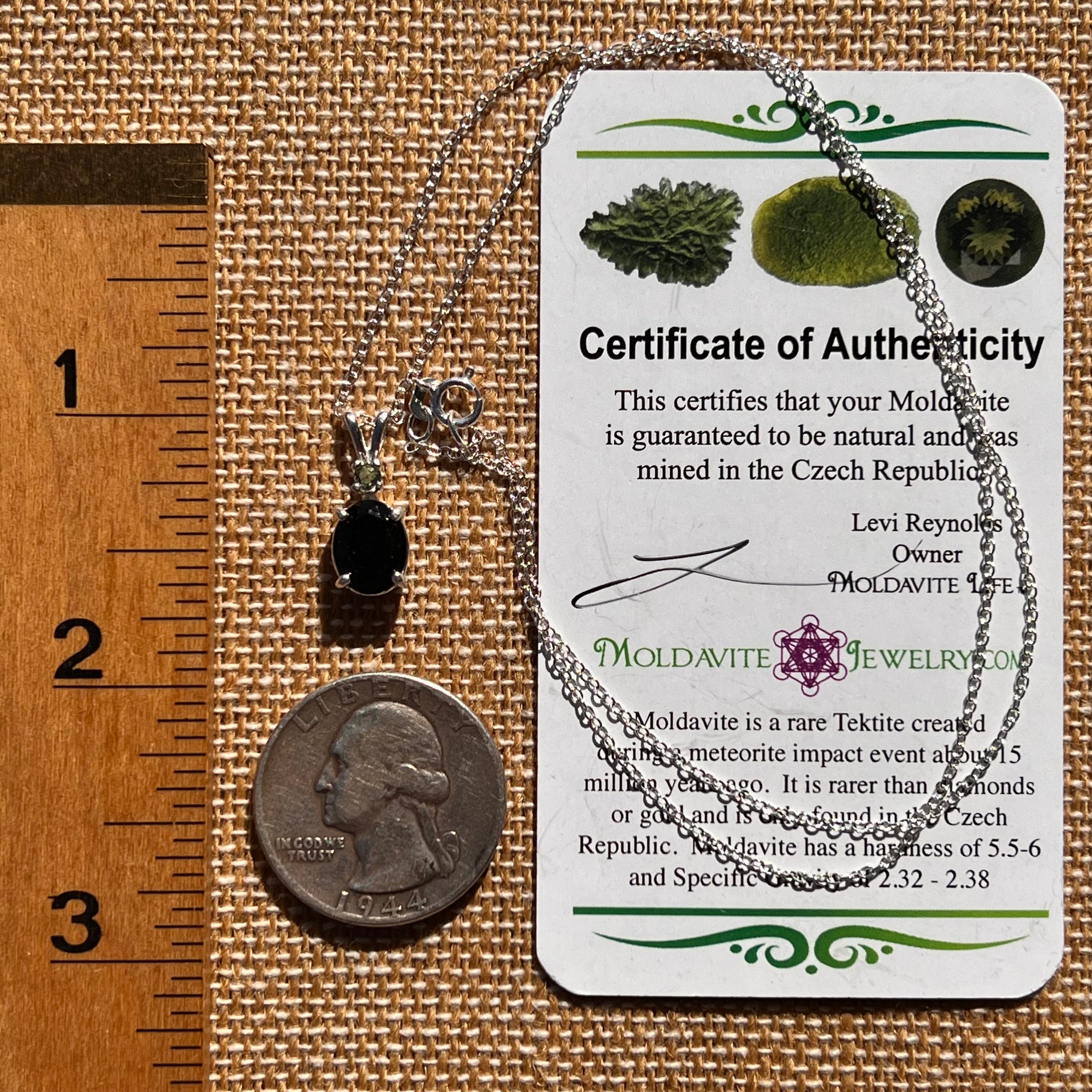 Black Tourmaline & Moldavite Necklace Sterling #7845-Moldavite Life
