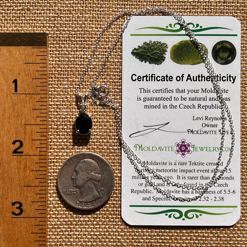 Black Tourmaline & Moldavite Necklace Sterling #7845-Moldavite Life