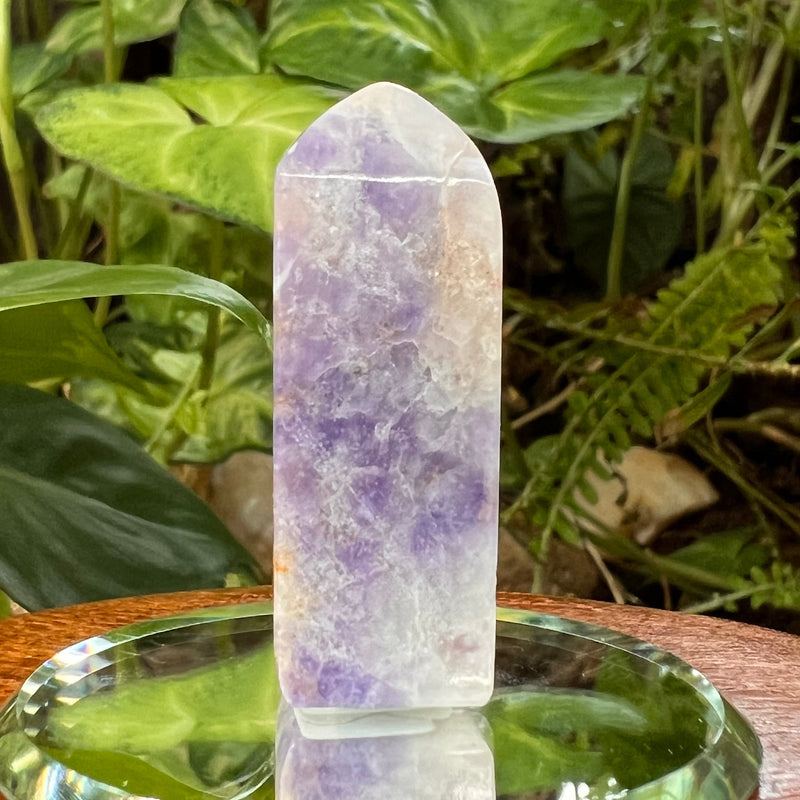 Bliss Euphoralite Tower #43-Moldavite Life