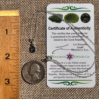 Blue Kyanite & Moldavite Necklace Sterling Silver #8686-Moldavite Life