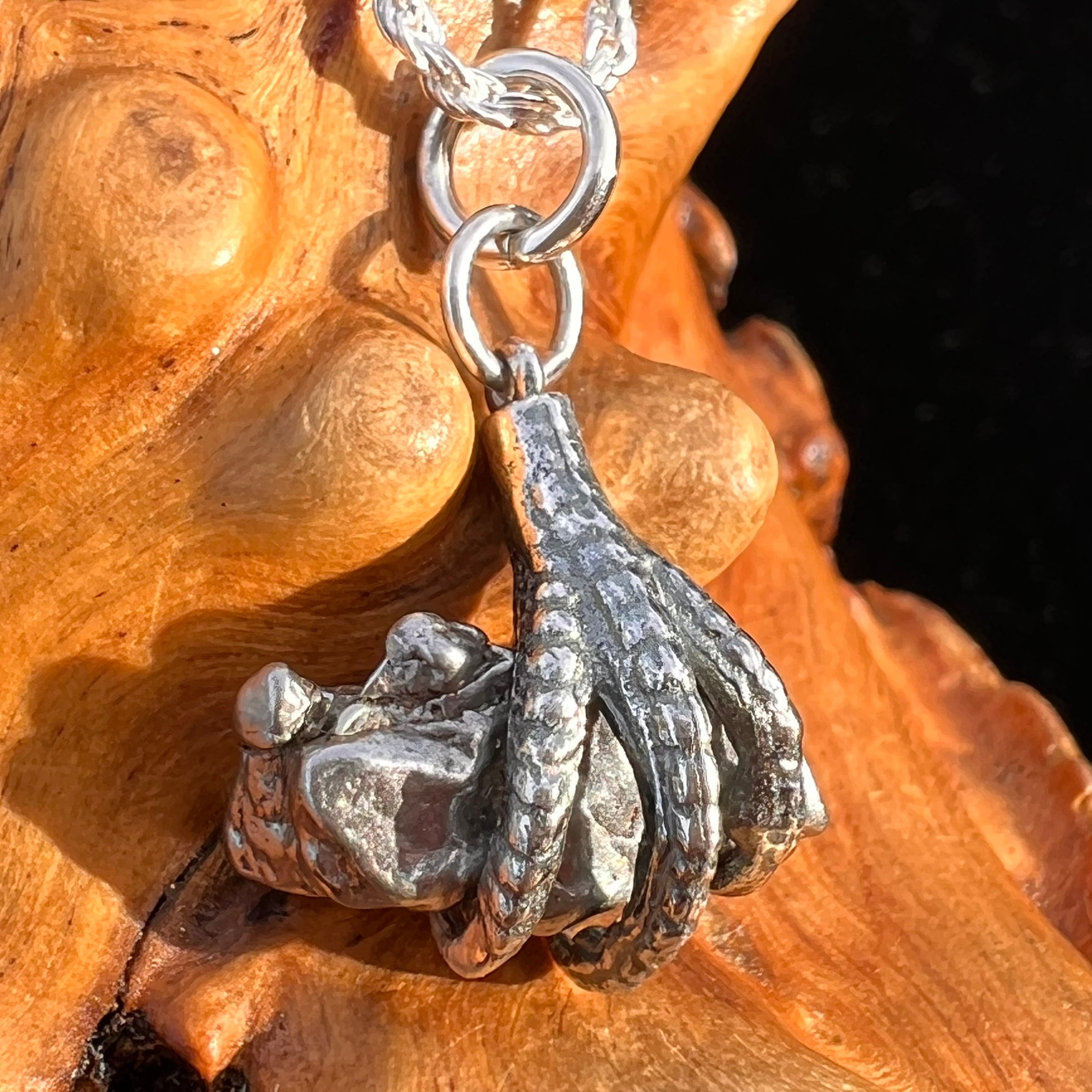 Campo Del Cielo Meteorite Claw Pendant Sterling #7739-Moldavite Life