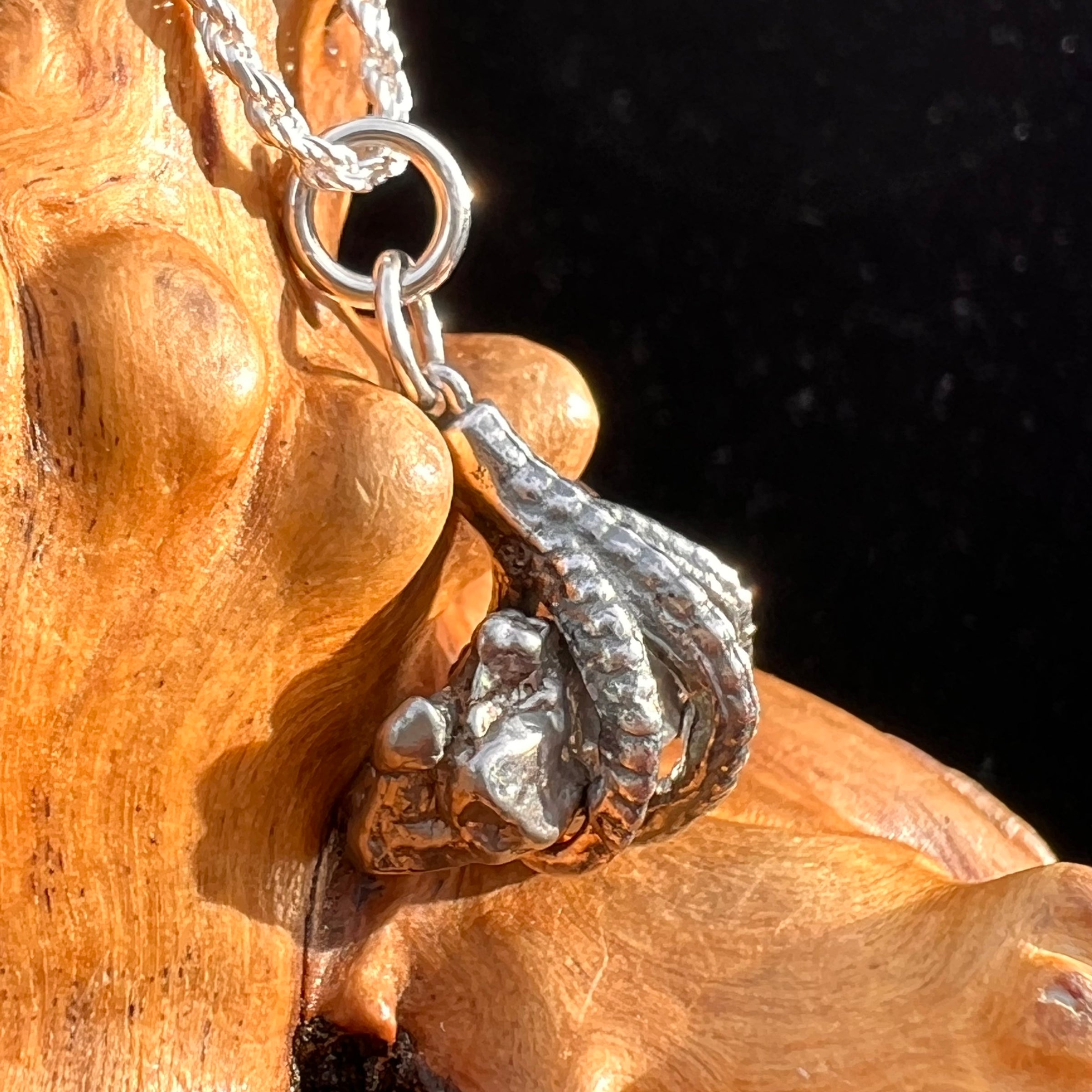 Campo Del Cielo Meteorite Claw Pendant Sterling #7739-Moldavite Life