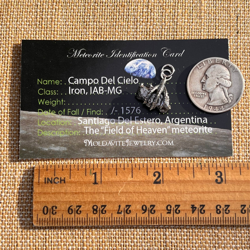 Campo Del Cielo Meteorite Claw Pendant Sterling #7739-Moldavite Life