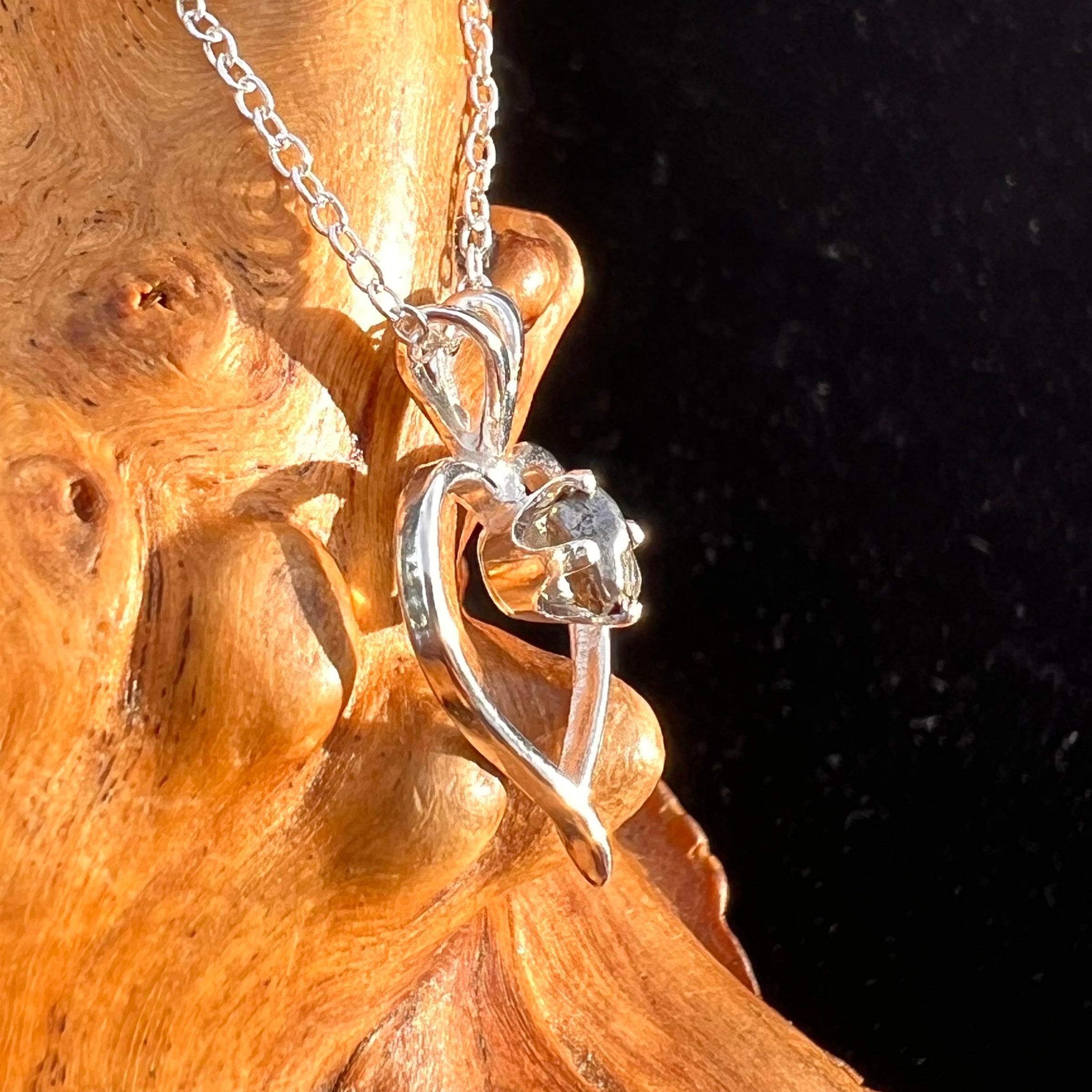 Campo Del Cielo Meteorite Heart Necklace Sterling #7740-Moldavite Life