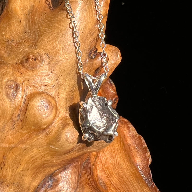 Campo Del Cielo Meteorite Necklace Sterling #5218-Moldavite Life
