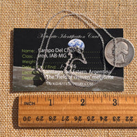 Campo Del Cielo Meteorite Necklace Sterling #7711-Moldavite Life