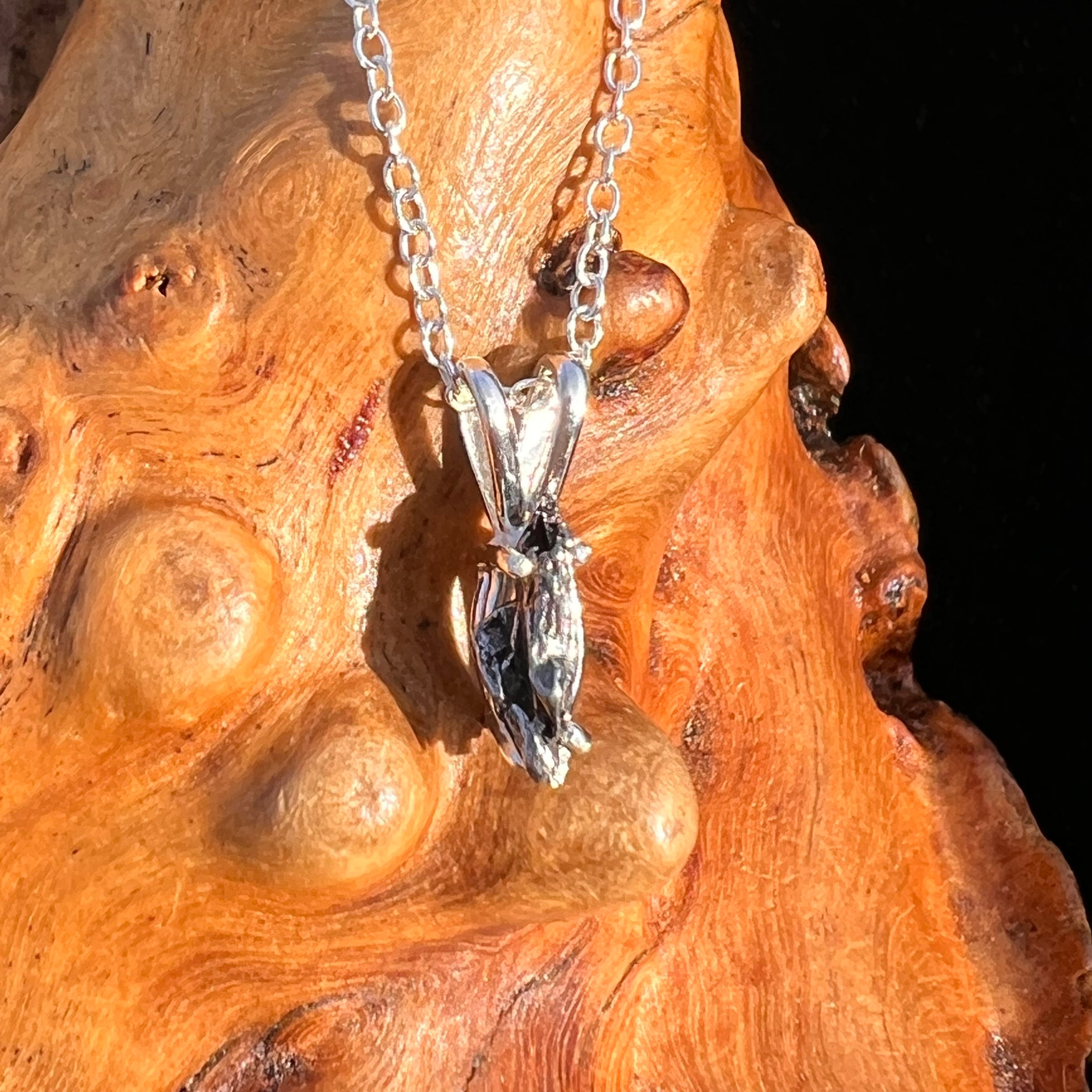 Campo Del Cielo Meteorite Necklace Sterling #7711-Moldavite Life