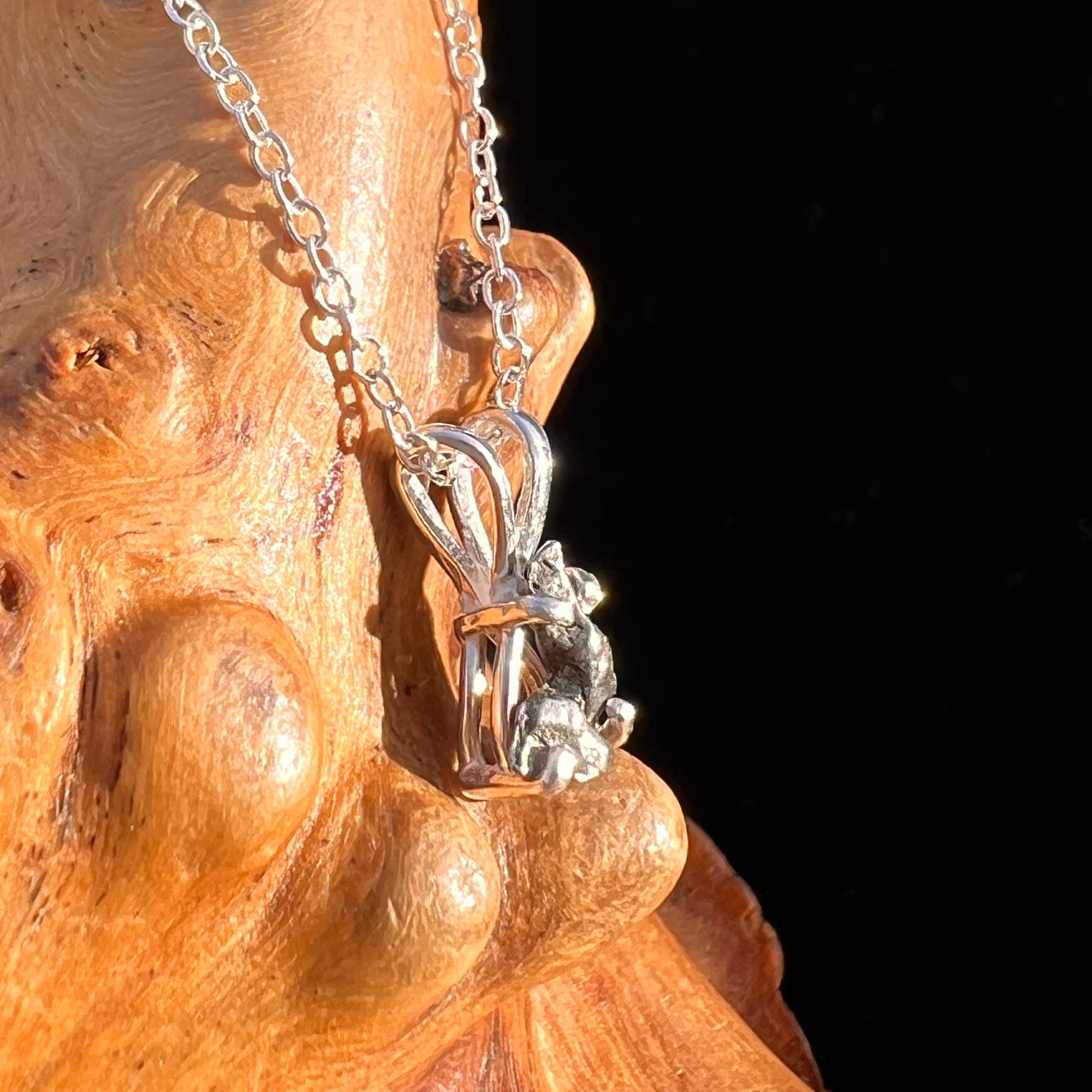 Campo Del Cielo Meteorite Necklace Sterling #7713-Moldavite Life