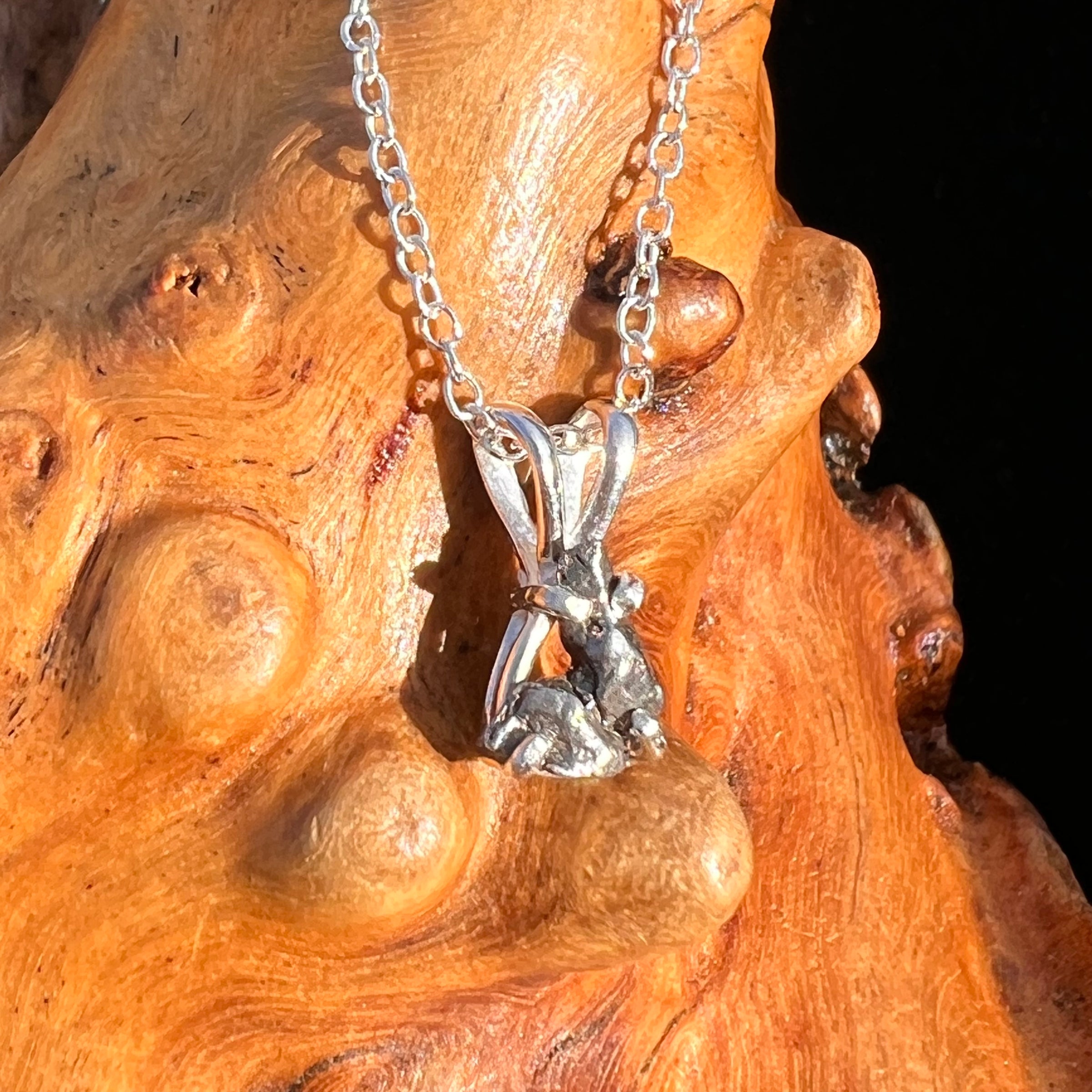 Campo Del Cielo Meteorite Necklace Sterling #7713-Moldavite Life