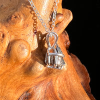 Campo Del Cielo Meteorite Necklace Sterling #7717-Moldavite Life