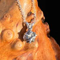 Campo Del Cielo Meteorite Necklace Sterling #7717-Moldavite Life