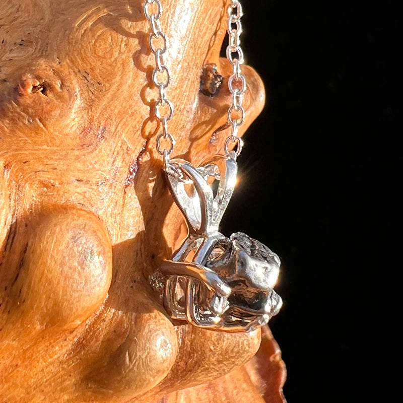 Campo Del Cielo Meteorite Necklace Sterling #7718-Moldavite Life