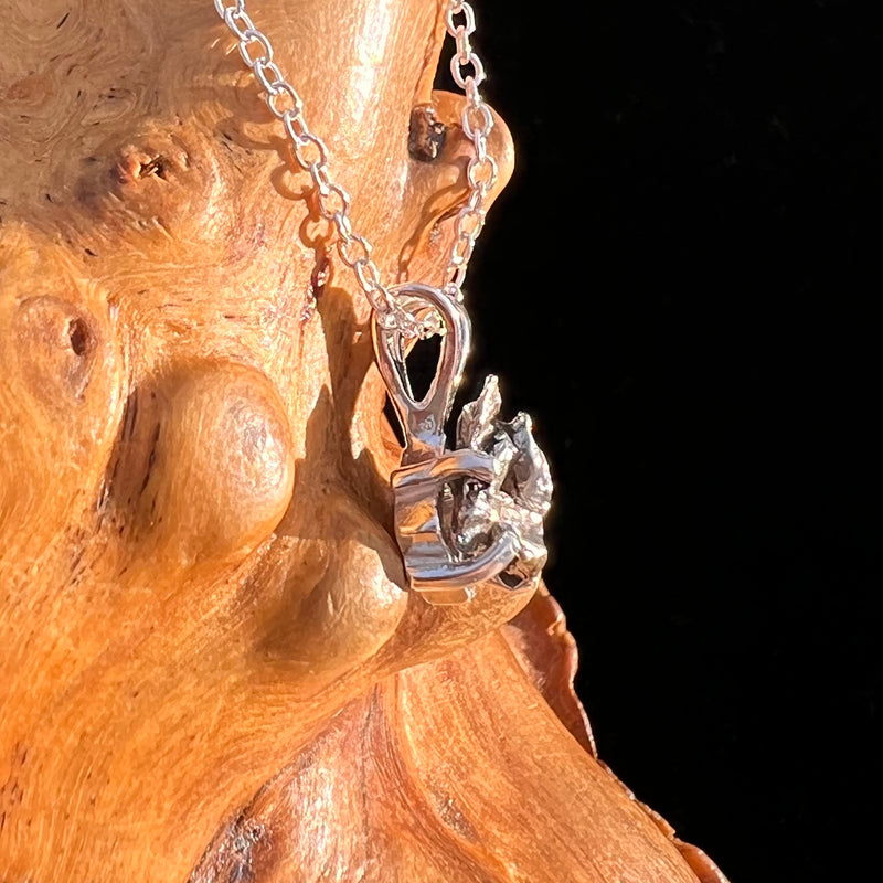 Campo Del Cielo Meteorite Necklace Sterling #7719-Moldavite Life