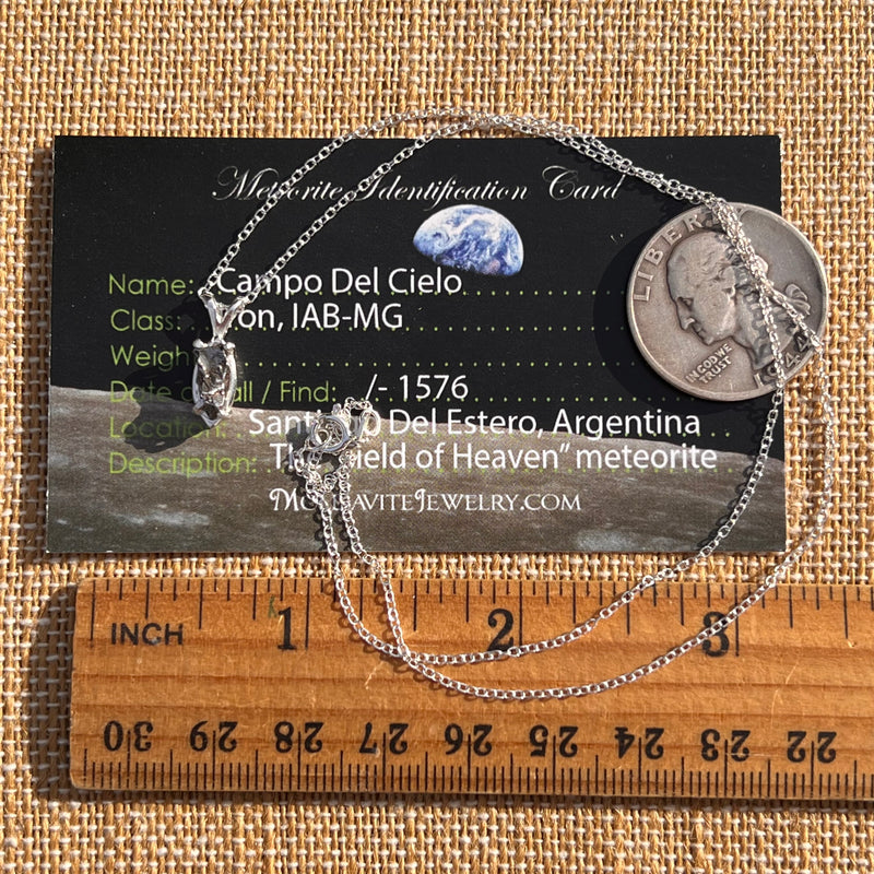 Campo Del Cielo Meteorite Necklace Sterling #7720-Moldavite Life