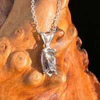 Campo Del Cielo Meteorite Necklace Sterling #7720-Moldavite Life