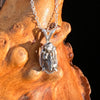 Campo Del Cielo Meteorite Necklace Sterling #7721-Moldavite Life
