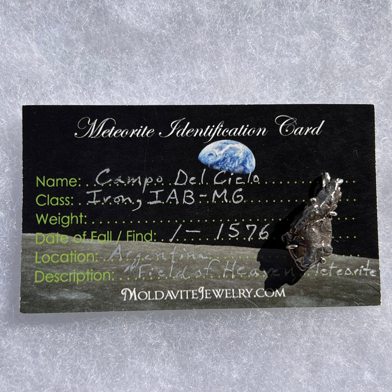 Campo Del Cielo Meteorite Pendant Sterling #3012-Moldavite Life