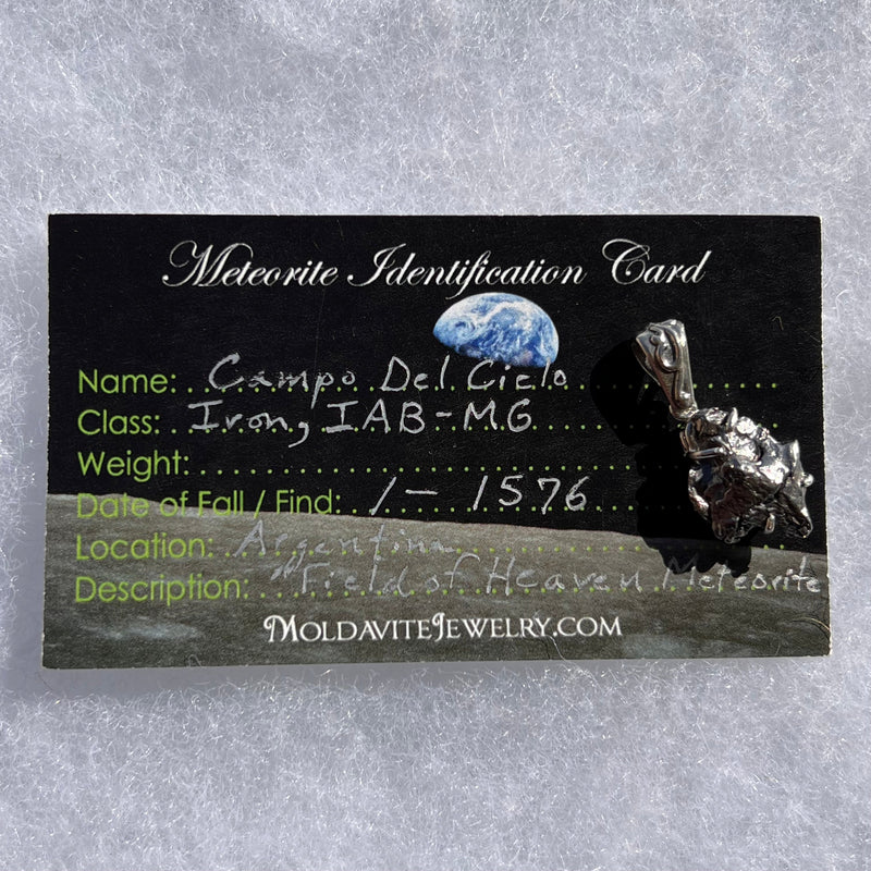 Campo Del Cielo Meteorite Pendant Sterling #3014-Moldavite Life