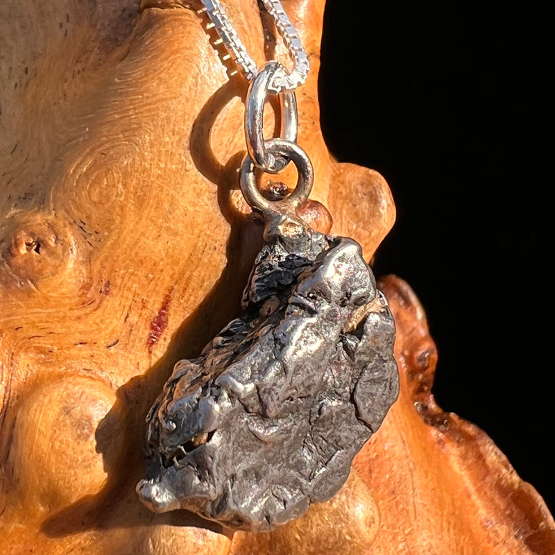 Campo Del Cielo Meteorite Pendant Sterling #7304-Moldavite Life