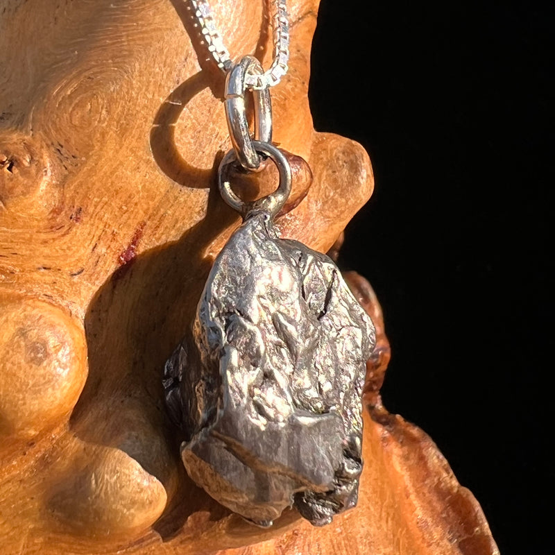 Campo Del Cielo Meteorite Pendant Sterling #7305-Moldavite Life