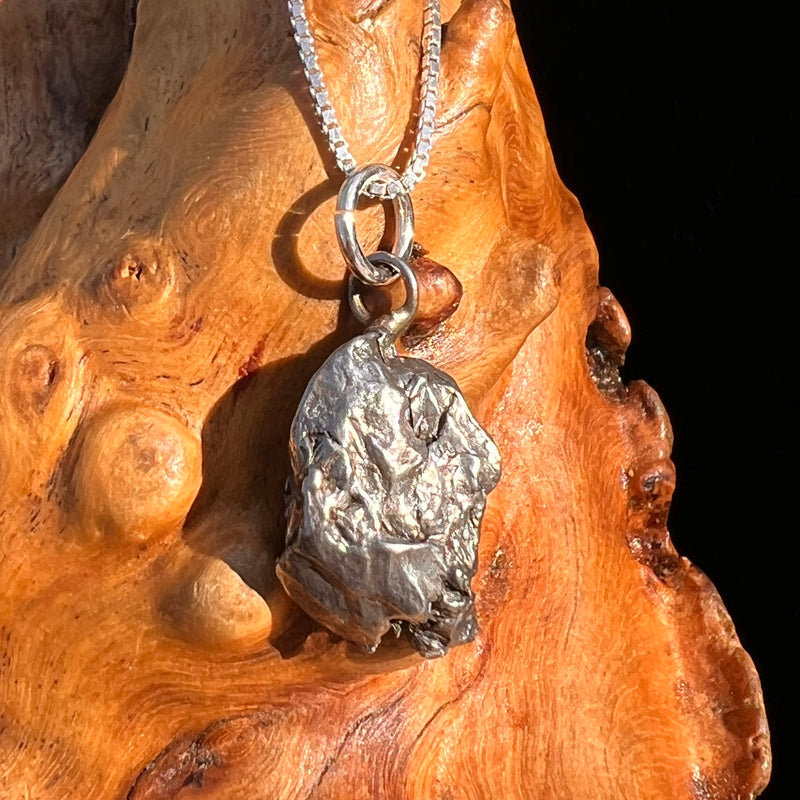 Campo Del Cielo Meteorite Pendant Sterling #7305-Moldavite Life