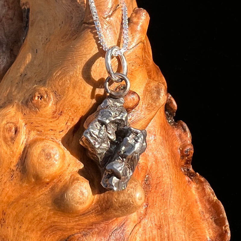 Campo Del Cielo Meteorite Pendant Sterling #7306-Moldavite Life