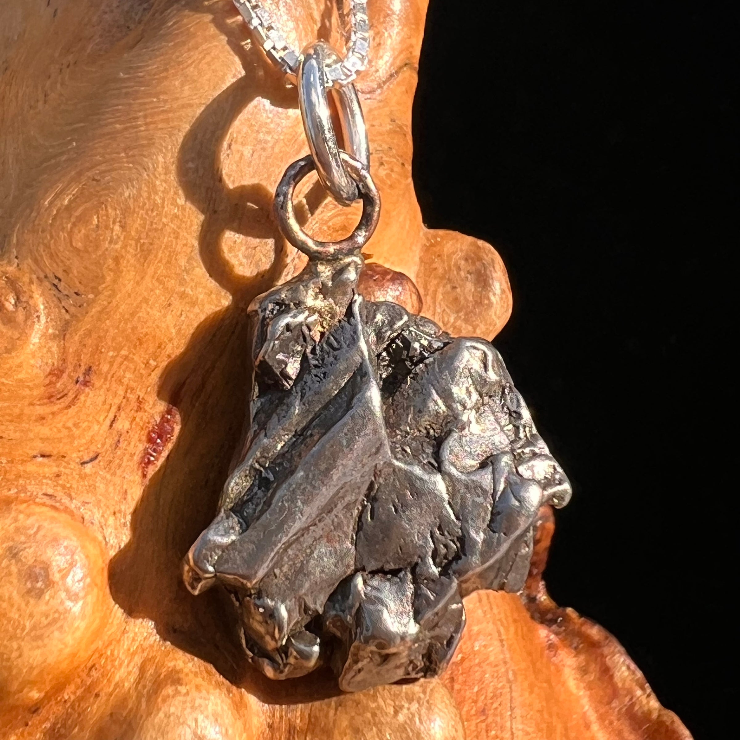 Campo Del Cielo Meteorite Pendant Sterling #7307-Moldavite Life
