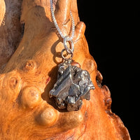 Campo Del Cielo Meteorite Pendant Sterling #7307-Moldavite Life