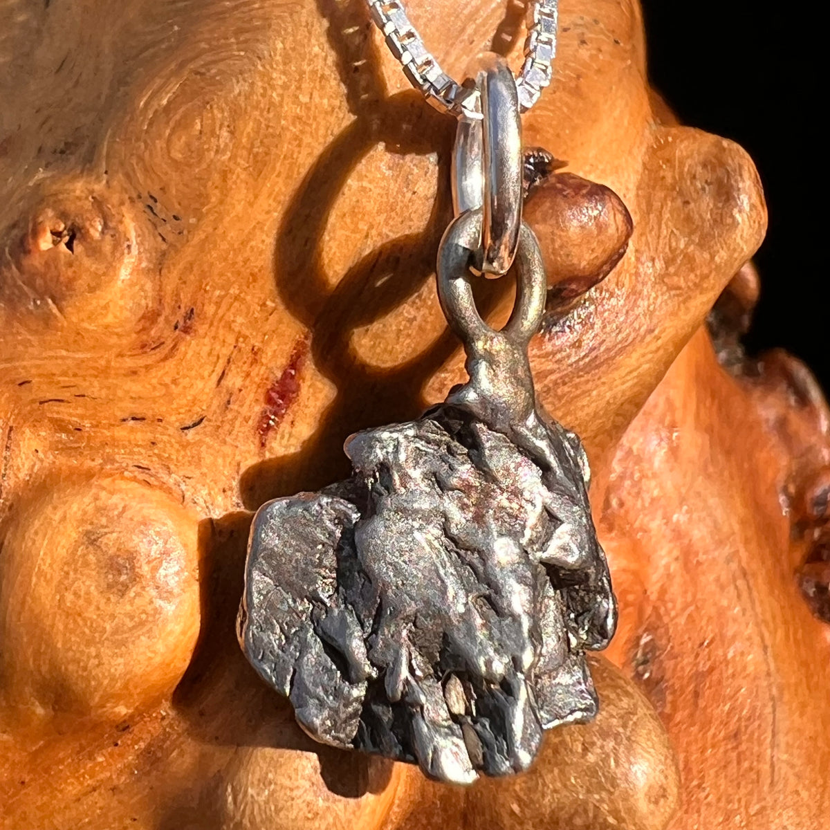 Campo Del Cielo Meteorite Pendant Sterling #7308-Moldavite Life
