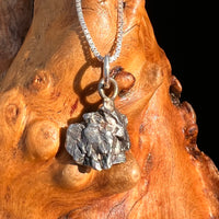 Campo Del Cielo Meteorite Pendant Sterling #7308-Moldavite Life