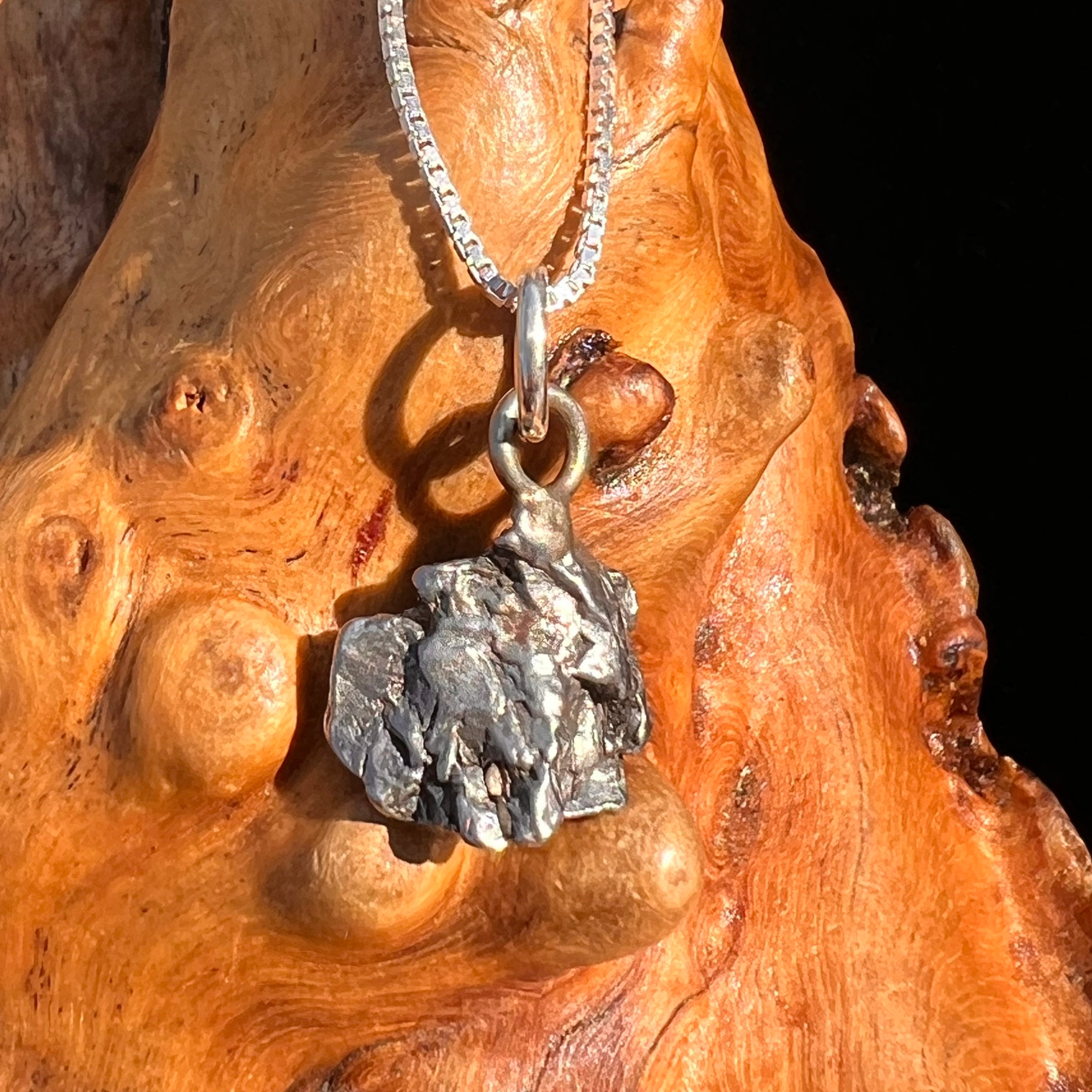 Campo Del Cielo Meteorite Pendant Sterling #7308-Moldavite Life
