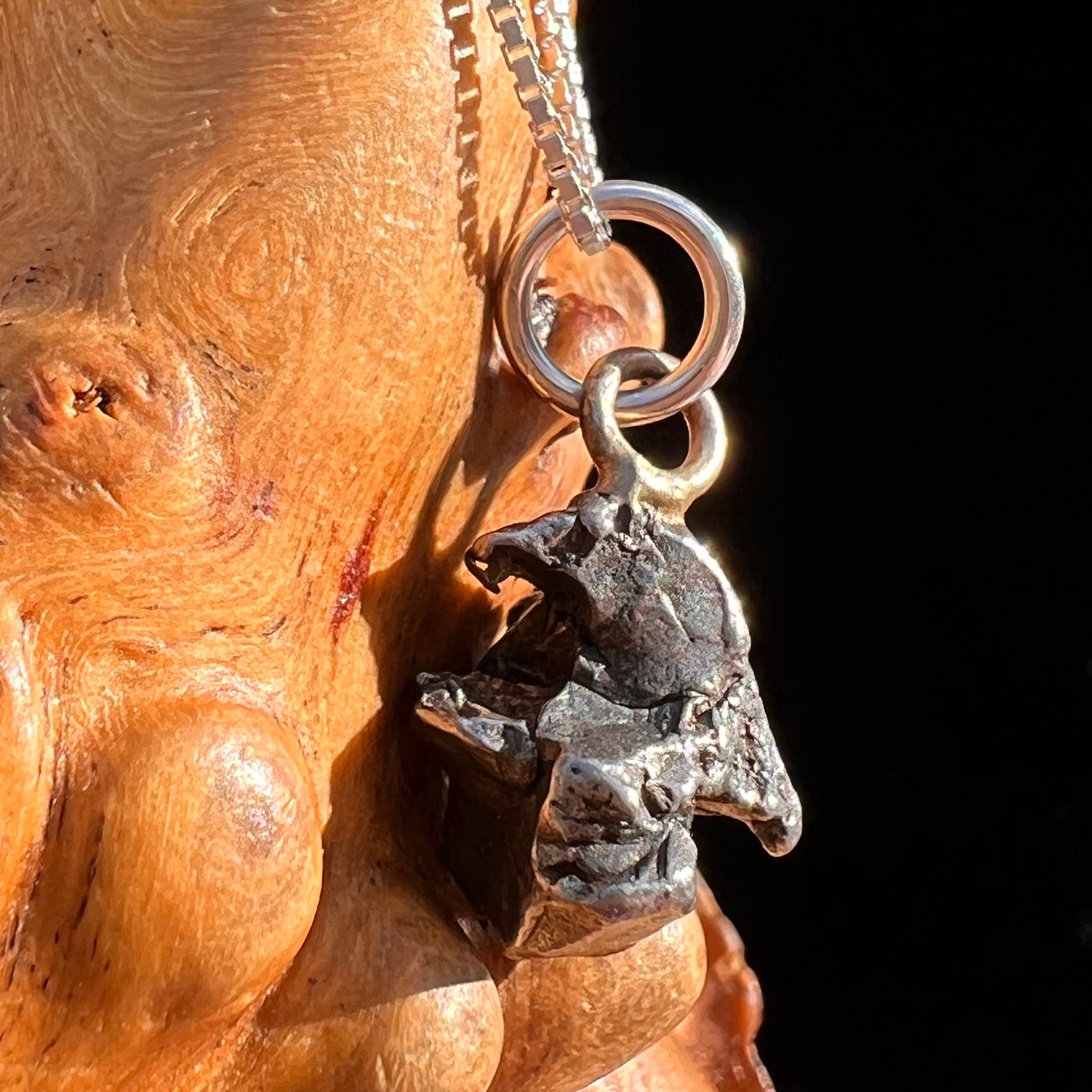 Campo Del Cielo Meteorite Pendant Sterling #7310-Moldavite Life