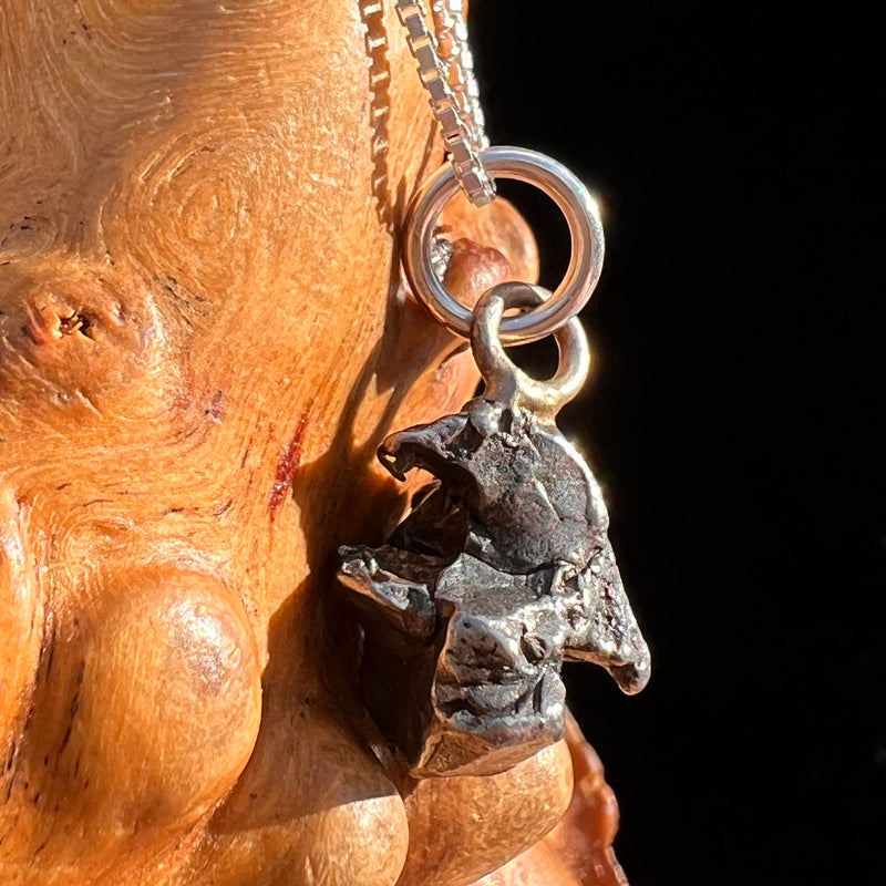 Campo Del Cielo Meteorite Pendant Sterling #7310-Moldavite Life