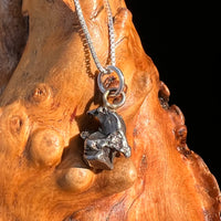 Campo Del Cielo Meteorite Pendant Sterling #7310-Moldavite Life