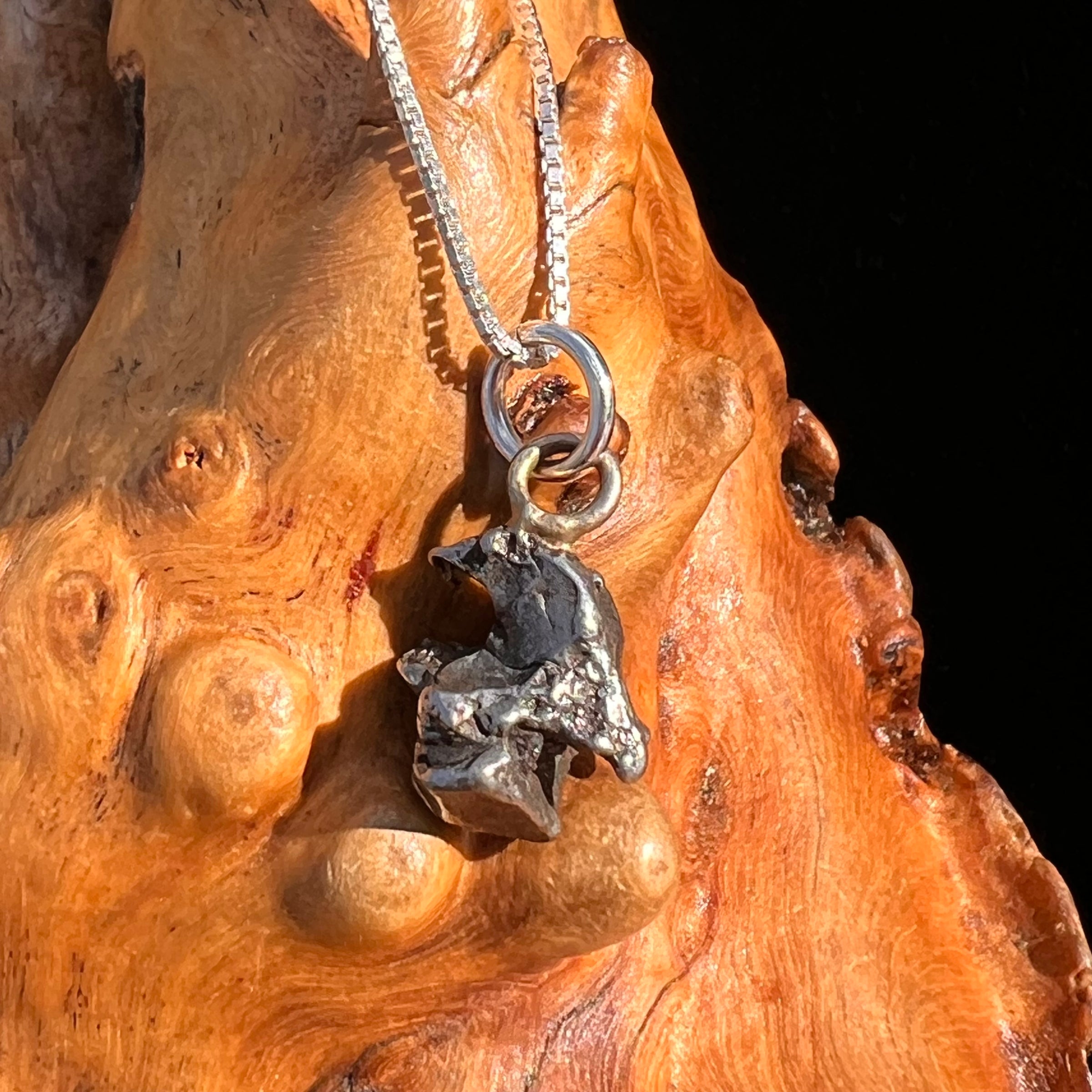 Campo Del Cielo Meteorite Pendant Sterling #7310-Moldavite Life