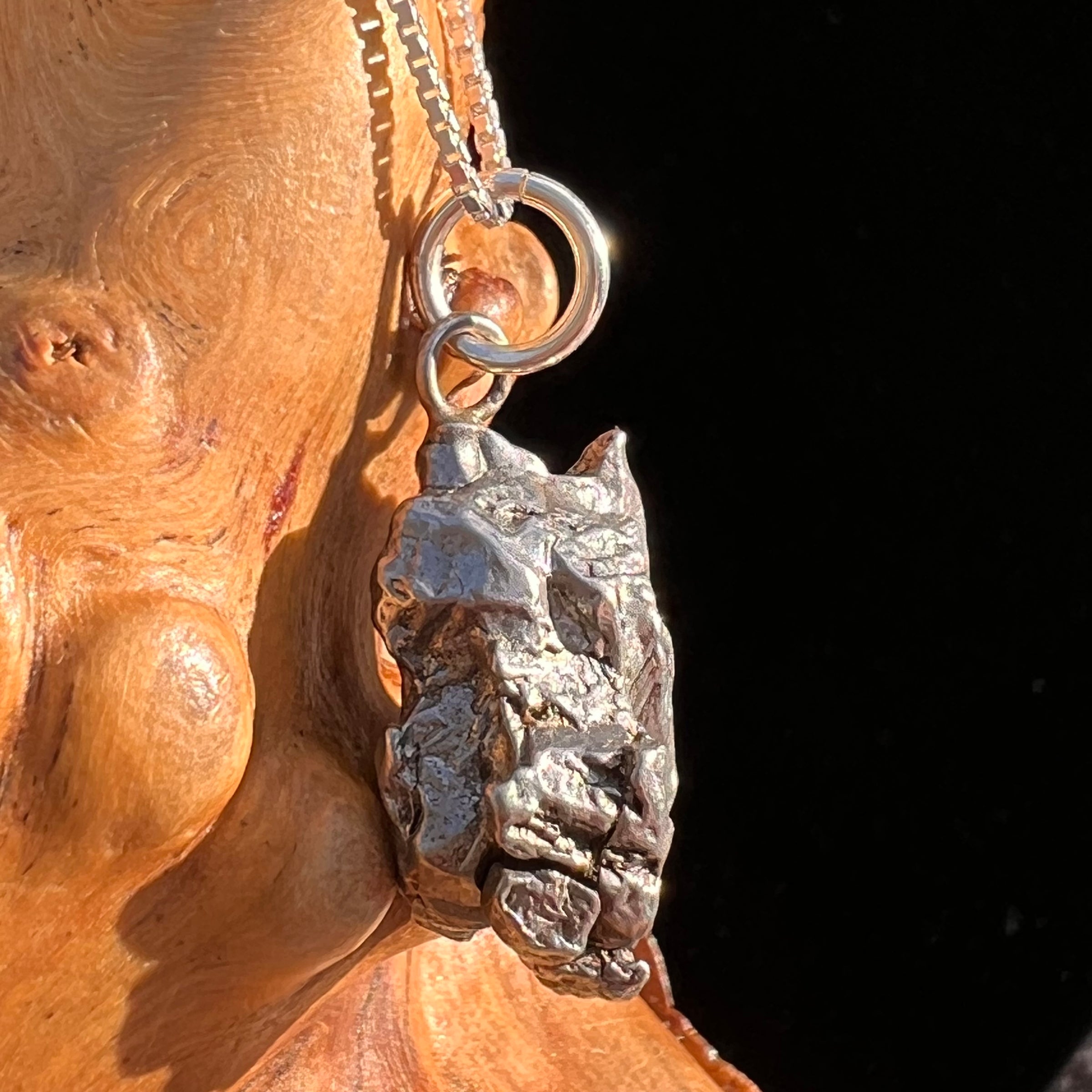 Campo Del Cielo Meteorite Pendant Sterling #7311-Moldavite Life