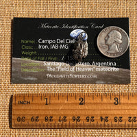 Campo Del Cielo Meteorite Pendant Sterling #7311-Moldavite Life