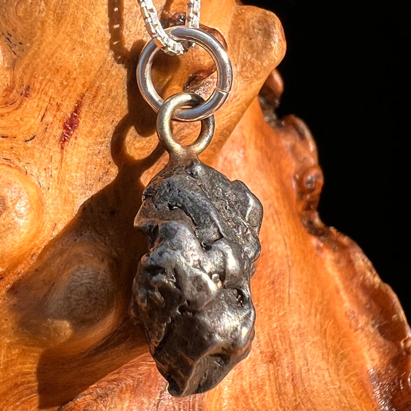 Campo Del Cielo Meteorite Pendant Sterling #7312-Moldavite Life