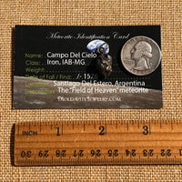 Campo Del Cielo Meteorite Pendant Sterling #7312-Moldavite Life