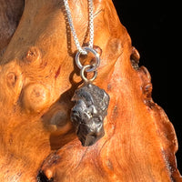 Campo Del Cielo Meteorite Pendant Sterling #7312-Moldavite Life