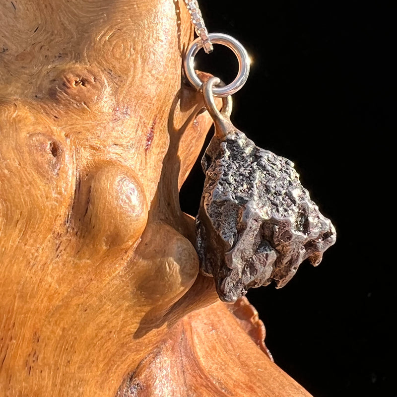 Campo Del Cielo Meteorite Pendant Sterling #7313-Moldavite Life