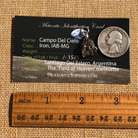 Campo Del Cielo Meteorite Pendant Sterling #7313-Moldavite Life