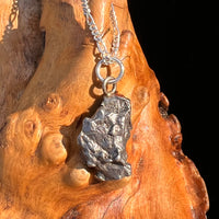 Campo Del Cielo Meteorite Pendant Sterling #7314-Moldavite Life