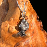 Campo Del Cielo Meteorite Pendant Sterling #7315-Moldavite Life