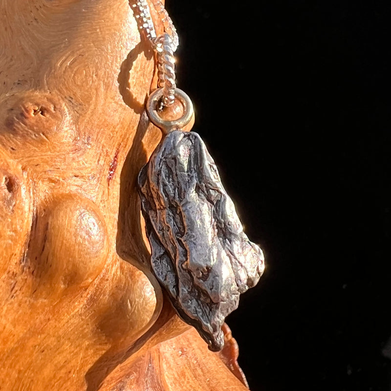 Campo Del Cielo Meteorite Pendant Sterling #7316-Moldavite Life