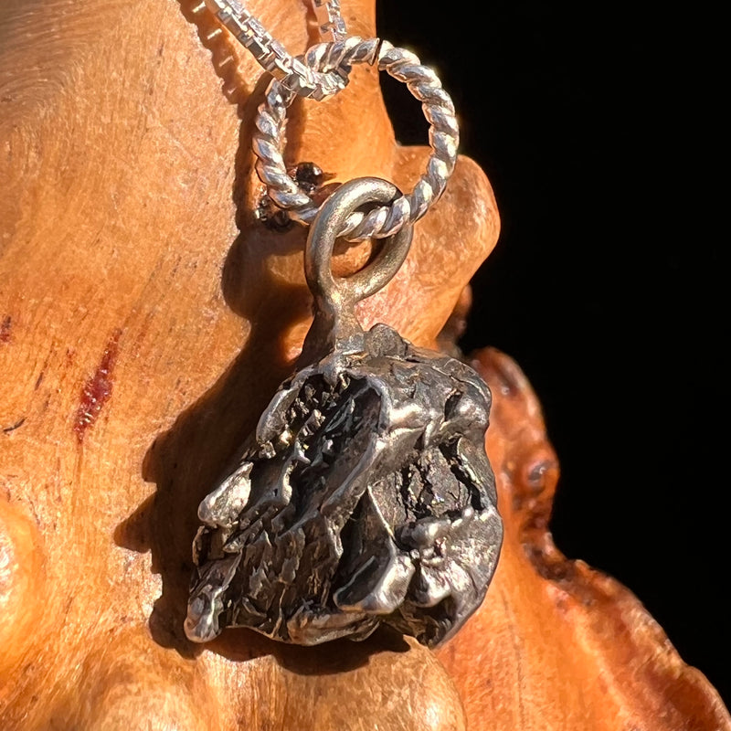 Campo Del Cielo Meteorite Pendant Sterling #7318-Moldavite Life